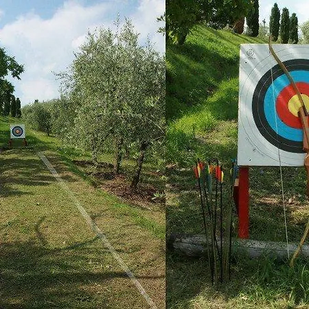 Verdidea Serra Cetona